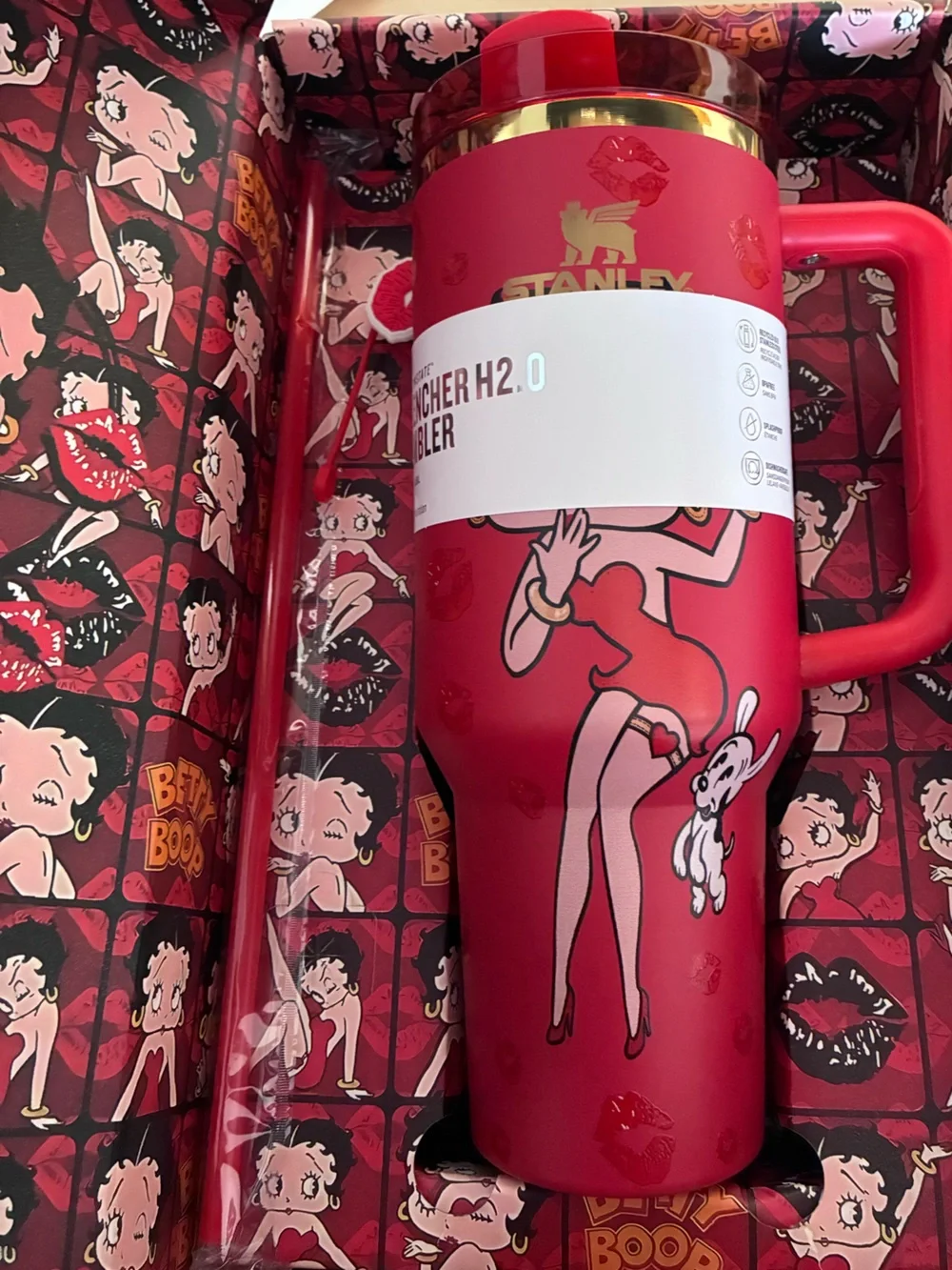 Stanley Betty Boop Burgundy Red Insulated Travel Mug tumbler 40oz custom lips